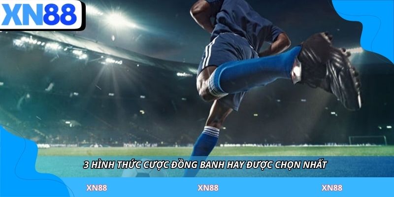 3 hình thức cược đồng banh hay được chọn nhất