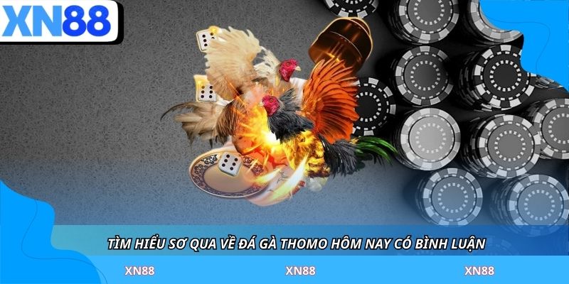 Tìm hiểu sơ qua về đá gà thomo hôm nay có bình luận